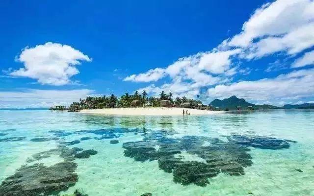 重庆金佛山开出一片冰花花海