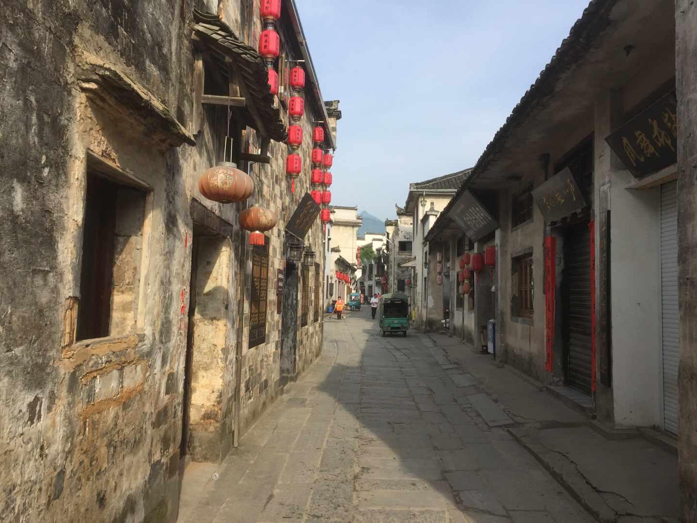 寂静森林找星星